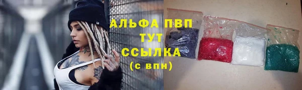 прущие крисы Беломорск