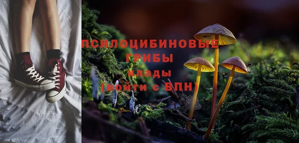 прущие крисы Беломорск