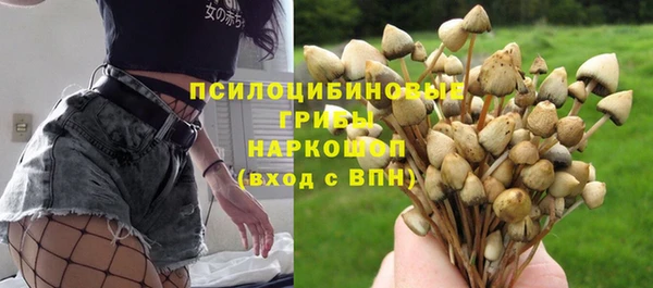прущие крисы Беломорск